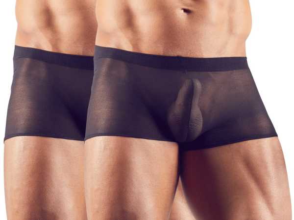 Sexy Pants im 2er-Pack hochelastisch und transparent Svenjoyment