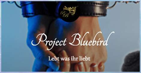 testbericht_bluebirdserzaehlungen_blog