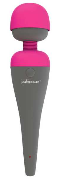 Palmpower Strombetriebener Massager für maximale Power Grau
